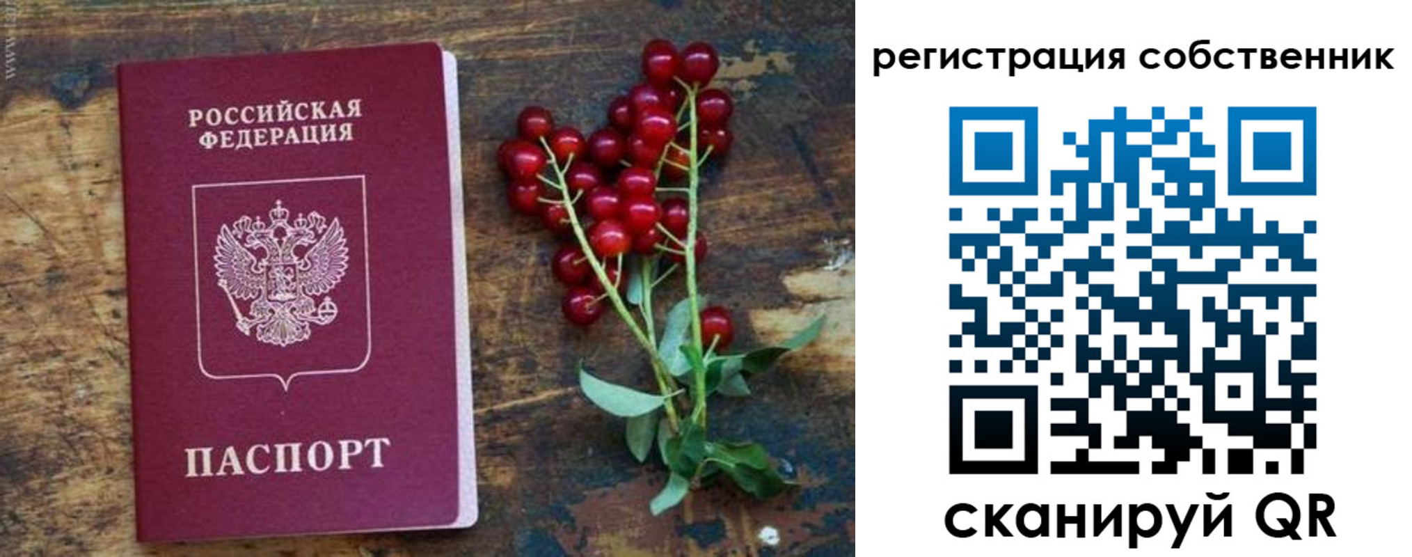 регистрация для дет. сада в Тыве